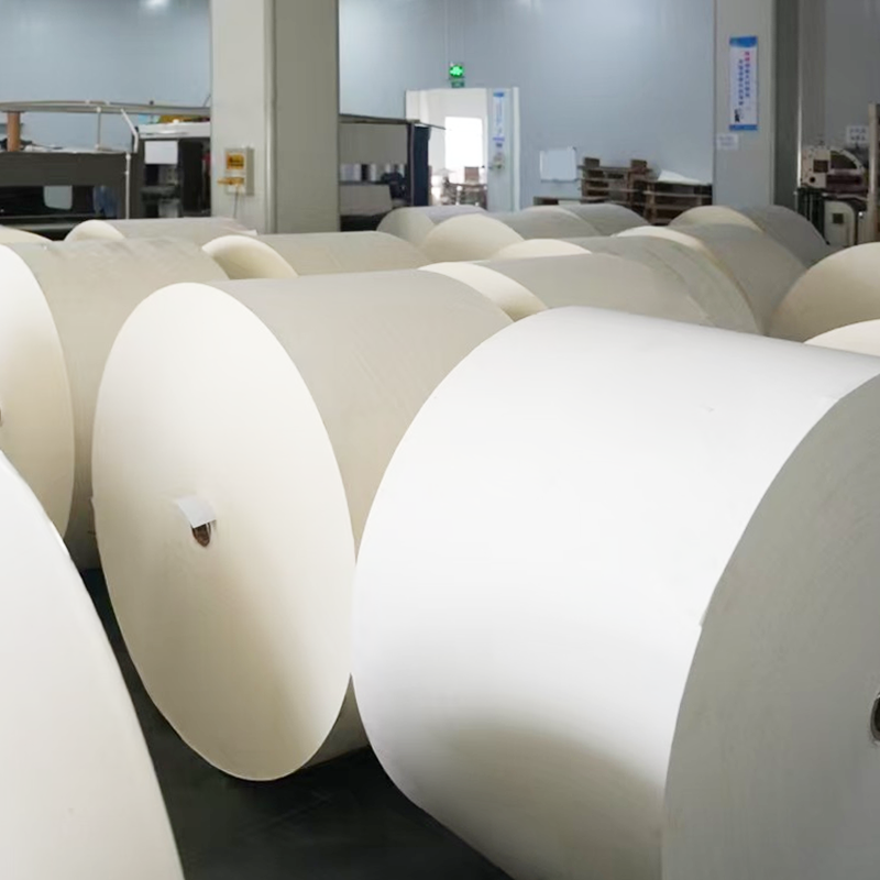 Giấy đáy được phủ nhựa không có nhựa có thể phân hủy